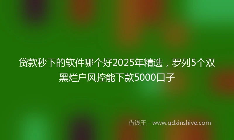 贷款秒下的软件哪个好2025年精选，罗列5个双黑烂户风控能下款5000口子