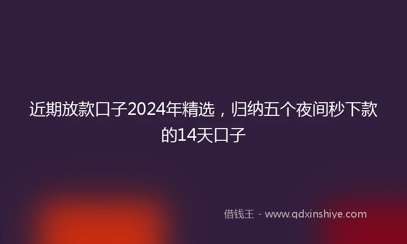 近期放款口子2024年精选，归纳五个夜间秒下款的14天口子
