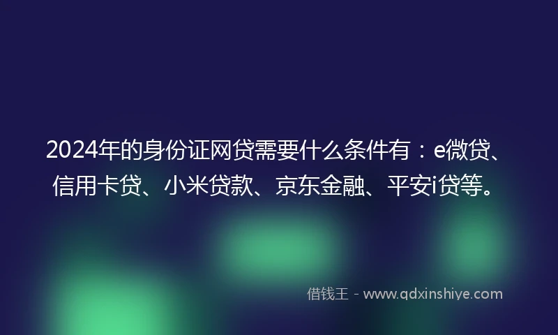 2024年的身份证网贷需要什么条件有：e微贷、信用卡贷、小米贷款、京东金融、平安i贷等。
