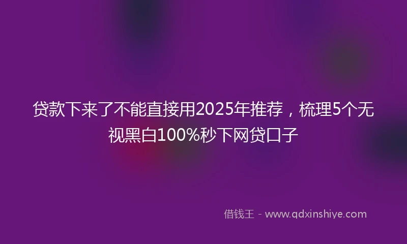贷款下来了不能直接用2025年推荐，梳理5个无视黑白100%秒下网贷口子