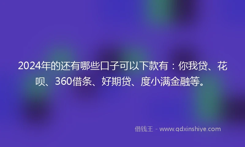 2024年的还有哪些口子可以下款有：你我贷、花呗、360借条、好期贷、度小满金融等。