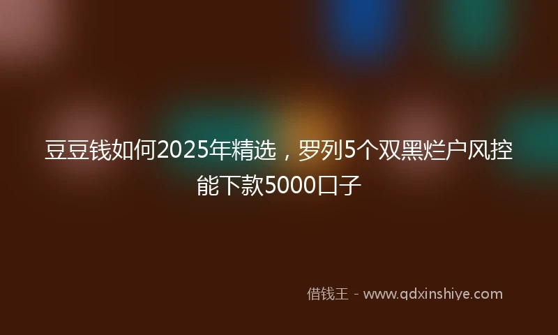 豆豆钱如何2025年精选，罗列5个双黑烂户风控能下款5000口子