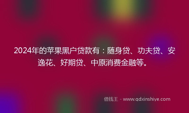 2024年的苹果黑户贷款有：随身贷、功夫贷、安逸花、好期贷、中原消费金融等。