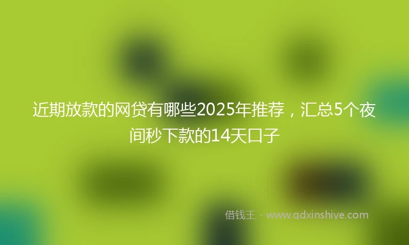 近期放款的网贷有哪些2025年推荐，汇总5个夜间秒下款的14天口子