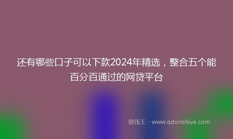还有哪些口子可以下款2024年精选，整合五个能百分百通过的网贷平台