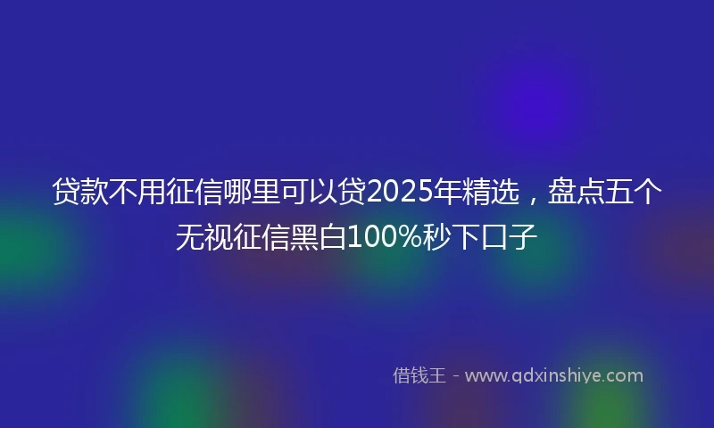 贷款不用征信哪里可以贷2025年精选，盘点五个无视征信黑白100%秒下口子