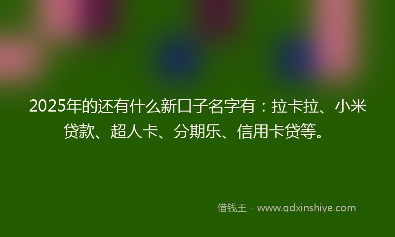 2025年的还有什么新口子名字有：拉卡拉、小米贷款、超人卡、分期乐、信用卡贷等。