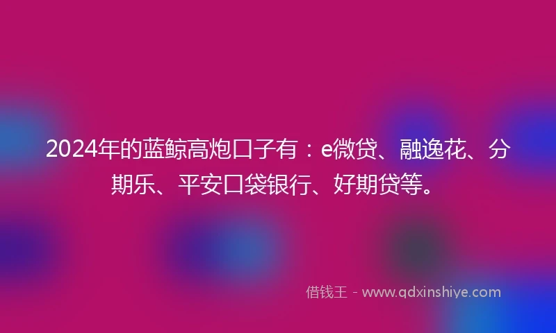 2024年的蓝鲸高炮口子有：e微贷、融逸花、分期乐、平安口袋银行、好期贷等。