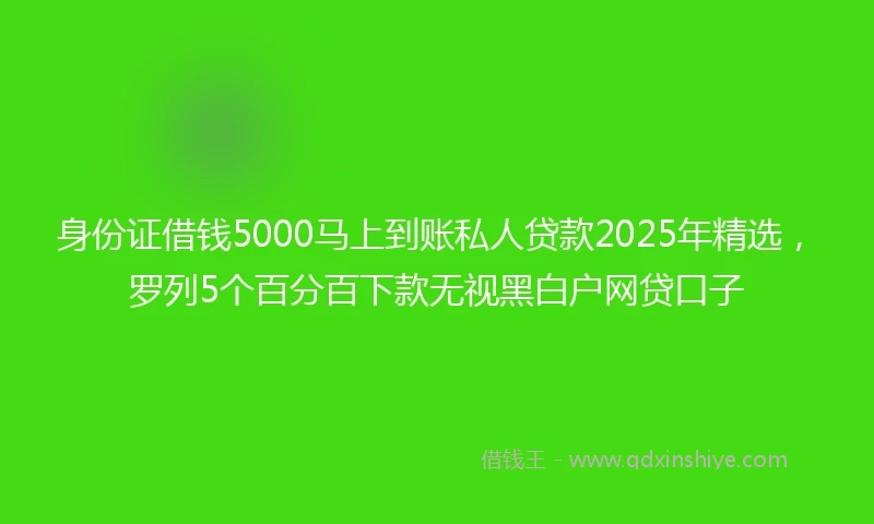 身份证借钱5000马上到账私人贷款2025年精选，罗列5个百分百下款无视黑白户网贷口子
