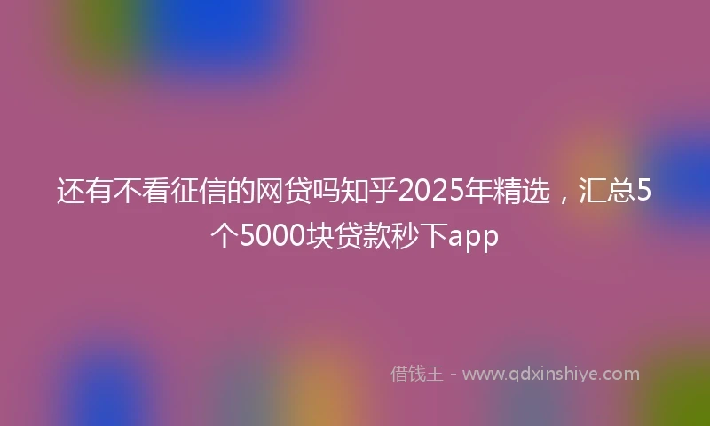 还有不看征信的网贷吗知乎2025年精选，汇总5个5000块贷款秒下app