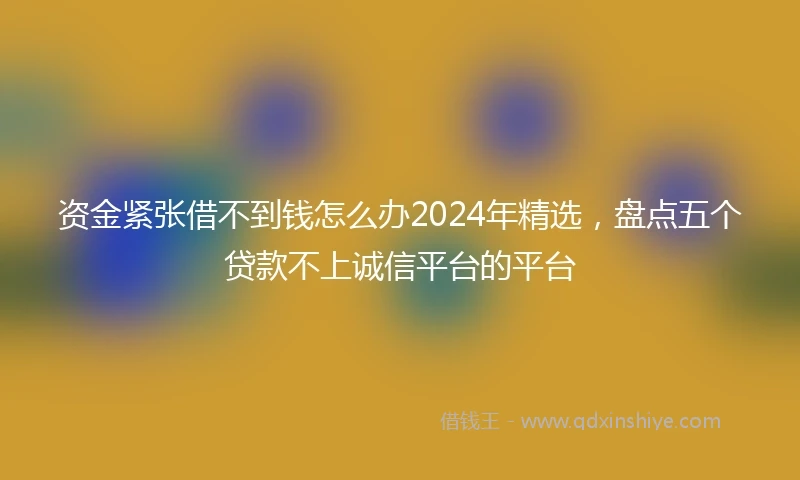 资金紧张借不到钱怎么办2024年精选,盘点五个贷款不上诚信平台的平台