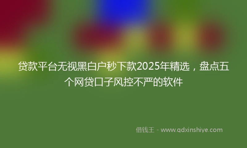 贷款平台无视黑白户秒下款2025年精选，盘点五个网贷口子风控不严的软件