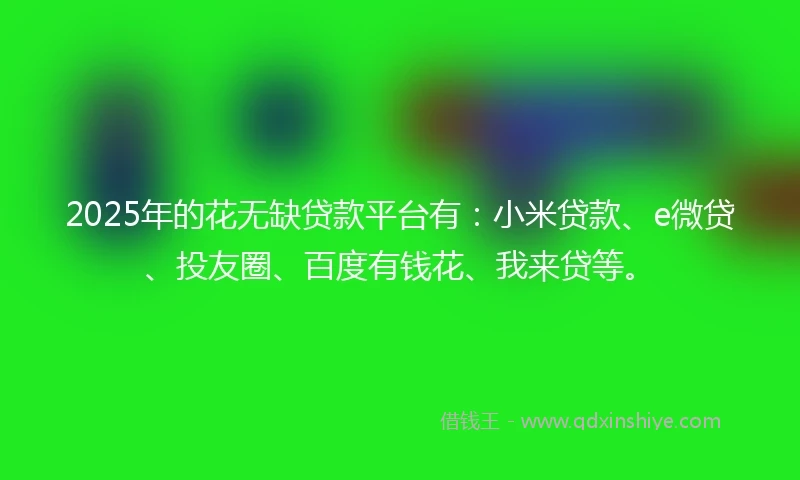 2025年的花无缺贷款平台有：小米贷款、e微贷、投友圈、百度有钱花、我来贷等。