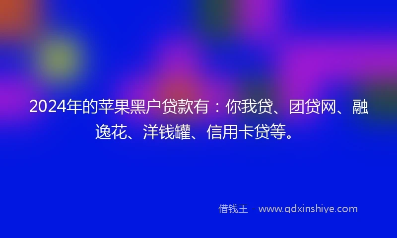 2024年的苹果黑户贷款有：你我贷、团贷网、融逸花、洋钱罐、信用卡贷等。