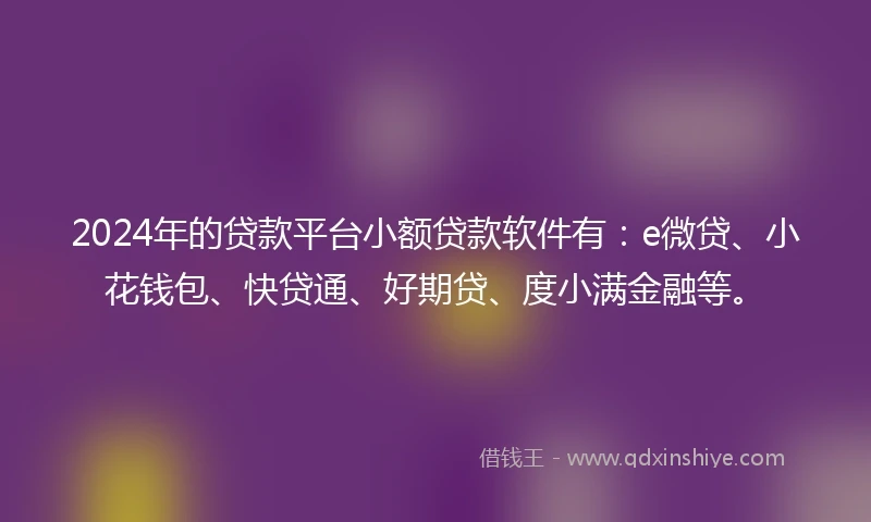 2024年的贷款平台小额贷款软件有：e微贷、小花钱包、快贷通、好期贷、度小满金融等。