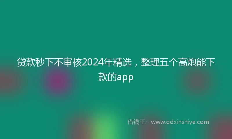 贷款秒下不审核2024年精选，整理五个高炮能下款的app