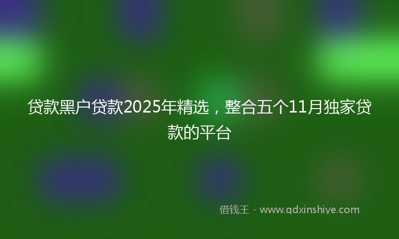 贷款黑户贷款2025年精选，整合五个11月独家贷款的平台