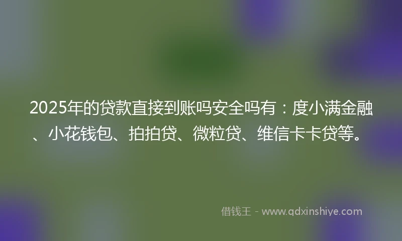2025年的贷款直接到账吗安全吗有：度小满金融、小花钱包、拍拍贷、微粒贷、维信卡卡贷等。