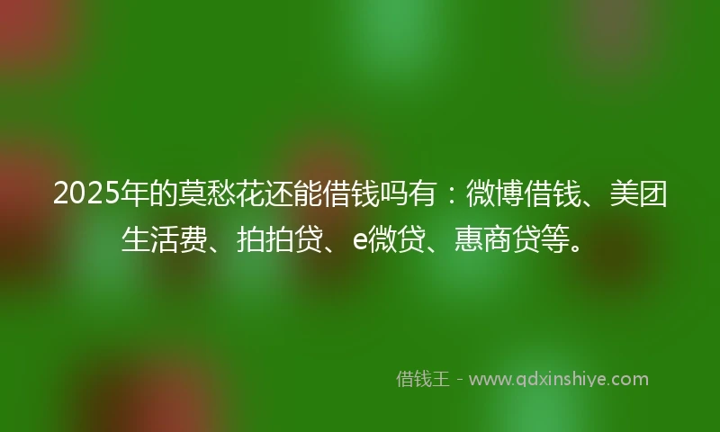 2025年的莫愁花还能借钱吗有：微博借钱、美团生活费、拍拍贷、e微贷、惠商贷等。