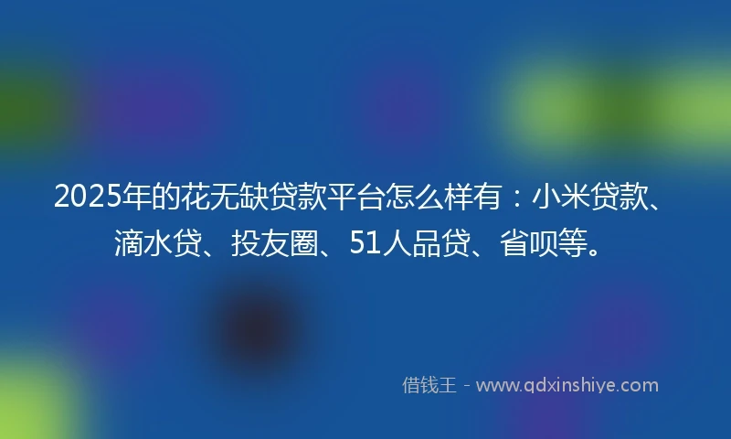 2025年的花无缺贷款平台怎么样有：小米贷款、滴水贷、投友圈、51人品贷、省呗等。