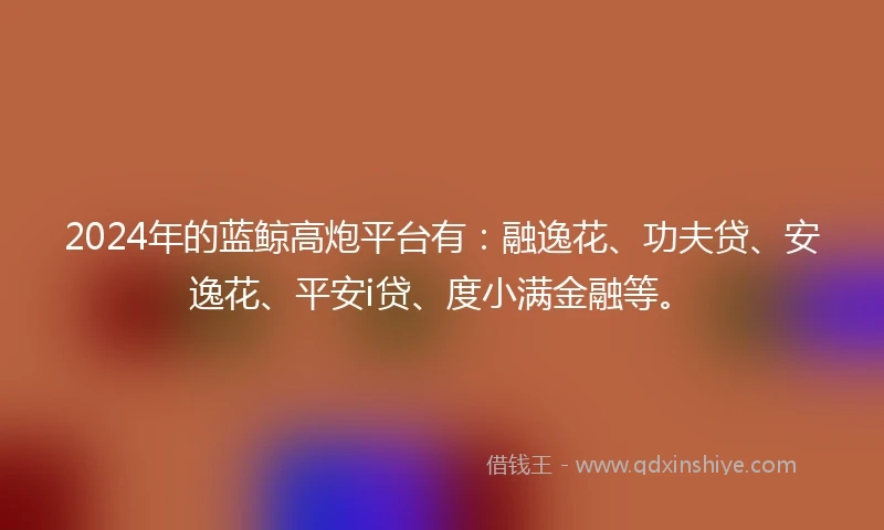 2024年的蓝鲸高炮平台有：融逸花、功夫贷、安逸花、平安i贷、度小满金融等。