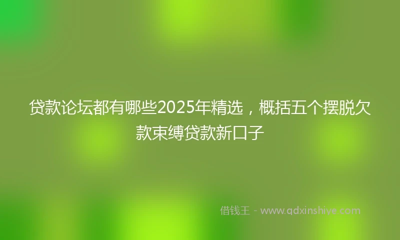 贷款论坛都有哪些2025年精选，概括五个摆脱欠款束缚贷款新口子