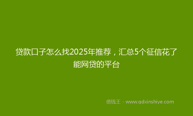 贷款口子怎么找2025年推荐，汇总5个征信花了能网贷的平台