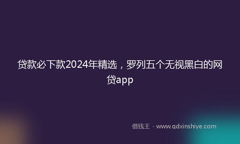 贷款必下款2024年精选，罗列五个无视黑白的网贷app
