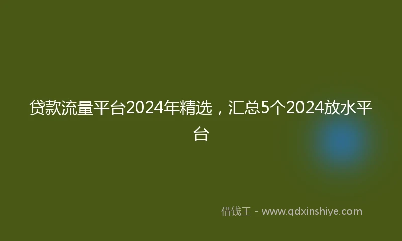 贷款流量平台2024年精选，汇总5个2024放水平台