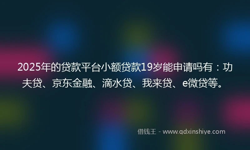 2025年的贷款平台小额贷款19岁能申请吗有：功夫贷、京东金融、滴水贷、我来贷、e微贷等。