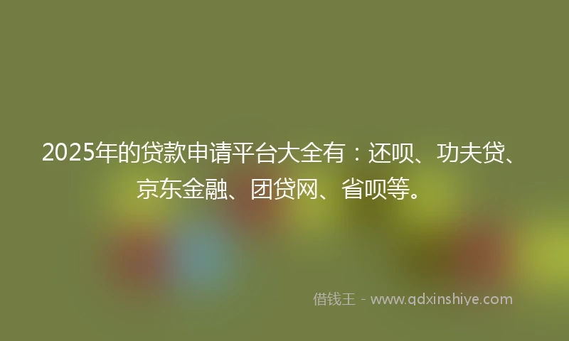 2025年的贷款申请平台大全有：还呗、功夫贷、京东金融、团贷网、省呗等。