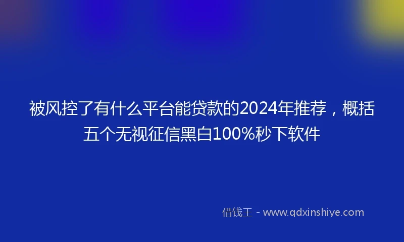 被风控了有什么平台能贷款的2024年推荐，概括五个无视征信黑白100%秒下软件