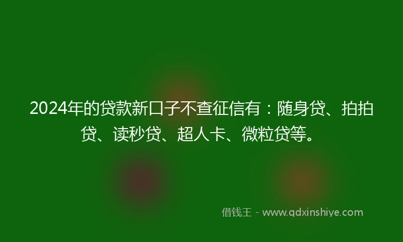 2024年的贷款新口子不查征信有:随身贷、拍拍贷、读秒贷、超人卡、微粒贷等。