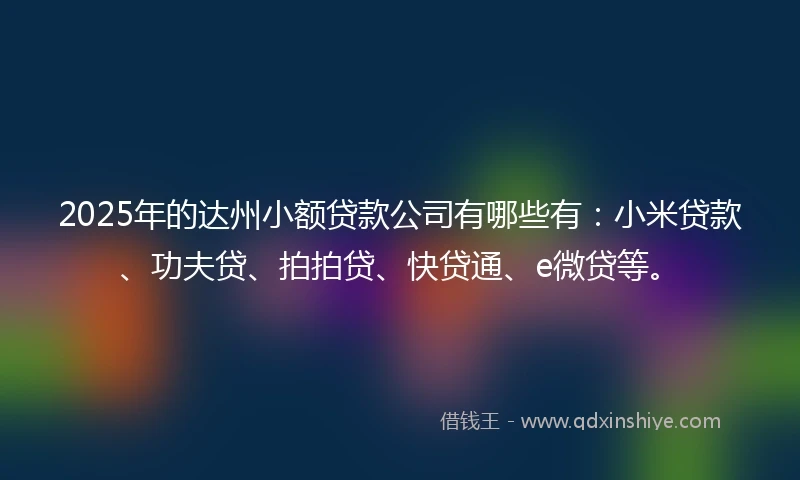 2025年的达州小额贷款公司有哪些有：小米贷款、功夫贷、拍拍贷、快贷通、e微贷等。