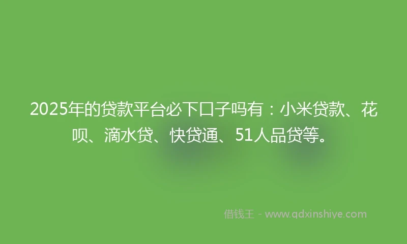 2025年的贷款平台必下口子吗有：小米贷款、花呗、滴水贷、快贷通、51人品贷等。