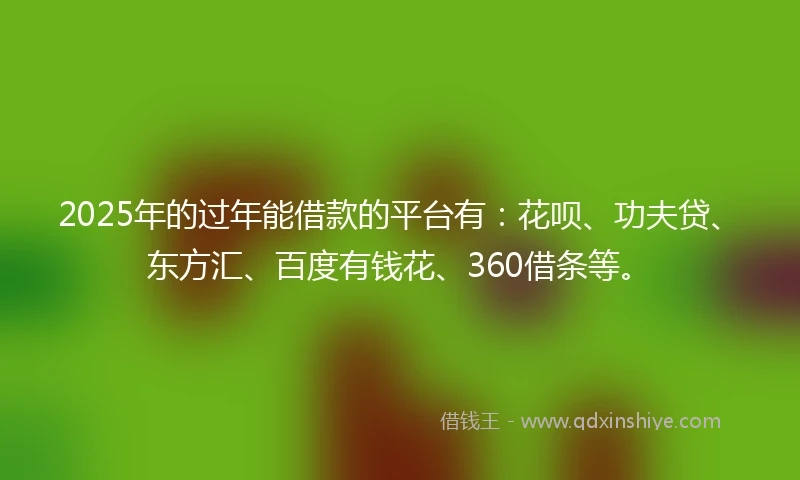 2025年的过年能借款的平台有：花呗、功夫贷、东方汇、百度有钱花、360借条等。