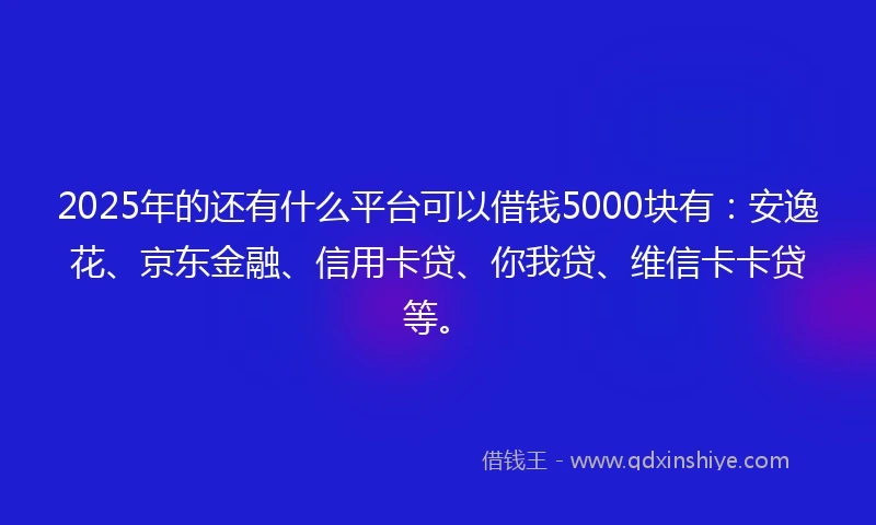 2025年的还有什么平台可以借钱5000块有：安逸花、京东金融、信用卡贷、你我贷、维信卡卡贷等。