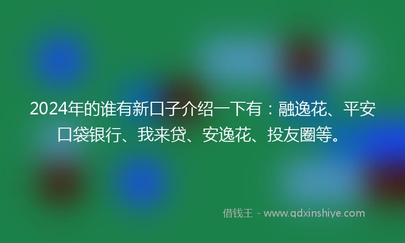 2024年的谁有新口子介绍一下有：融逸花、平安口袋银行、我来贷、安逸花、投友圈等。