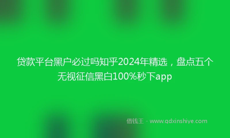 贷款平台黑户必过吗知乎2024年精选，盘点五个无视征信黑白100%秒下app