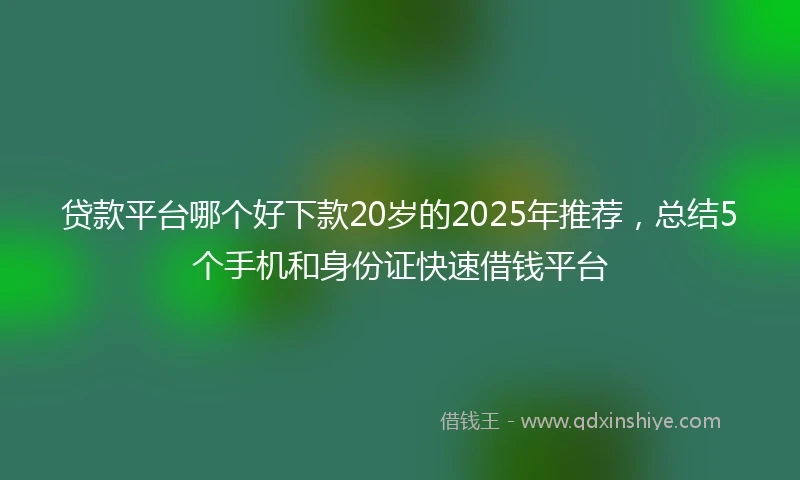 贷款平台哪个好下款20岁的2025年推荐，总结5个手机和身份证快速借钱平台
