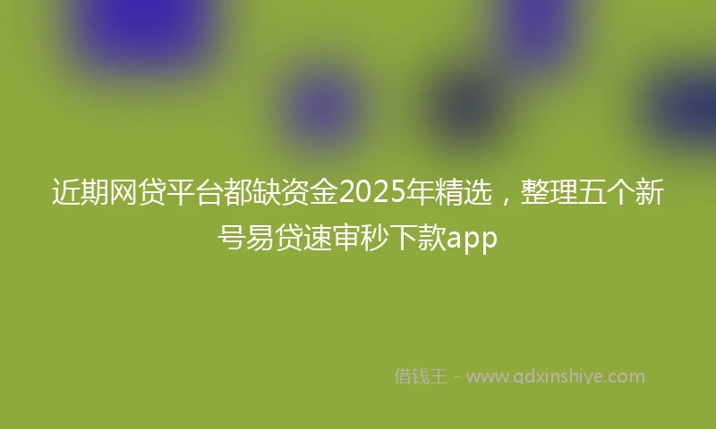近期网贷平台都缺资金2025年精选，整理五个新号易贷速审秒下款app