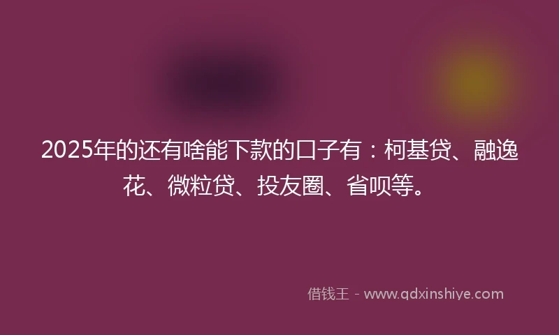 2025年的还有啥能下款的口子有：柯基贷、融逸花、微粒贷、投友圈、省呗等。