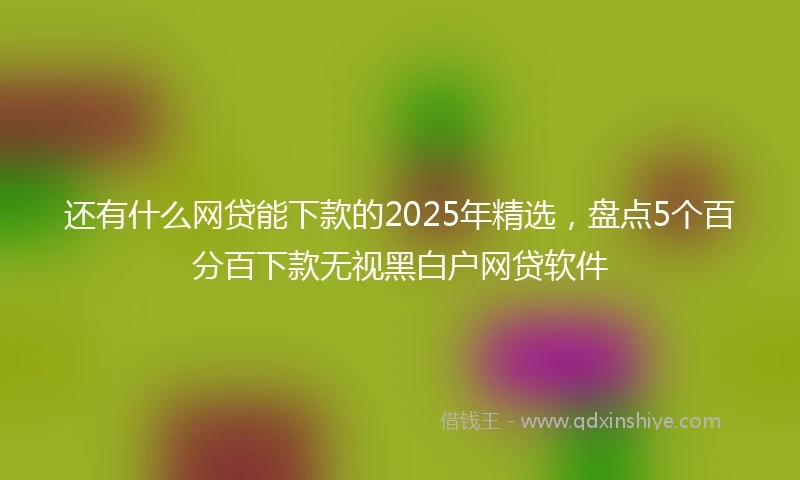 还有什么网贷能下款的2025年精选，盘点5个百分百下款无视黑白户网贷软件