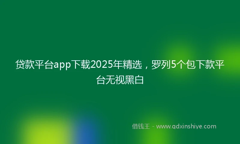 贷款平台app下载2025年精选，罗列5个包下款平台无视黑白
