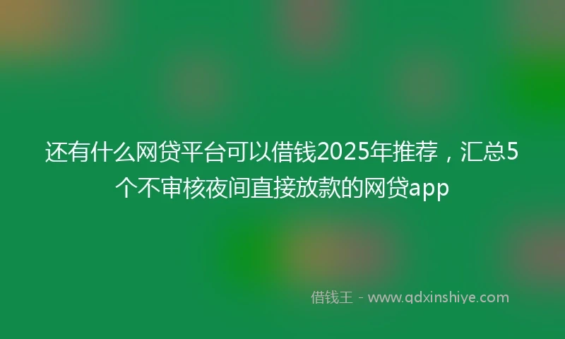 还有什么网贷平台可以借钱2025年推荐，汇总5个不审核夜间直接放款的网贷app