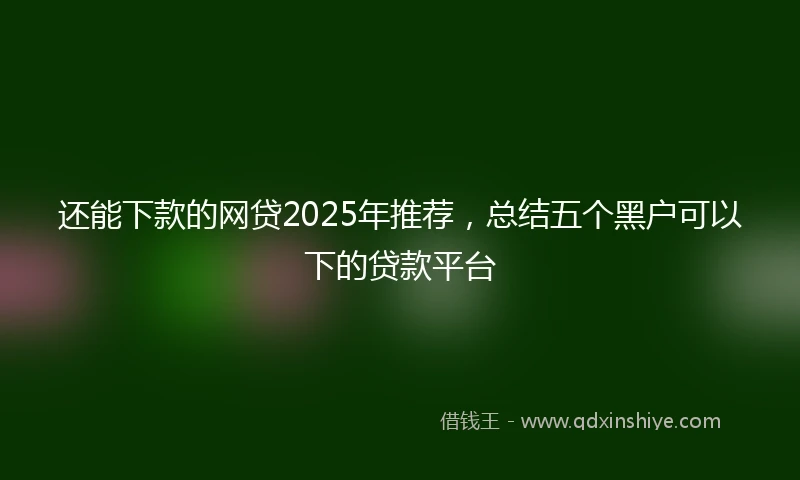 还能下款的网贷2025年推荐，总结五个黑户可以下的贷款平台