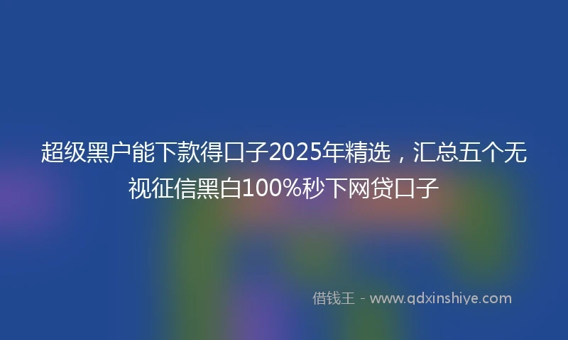 超级黑户能下款得口子2025年精选，汇总五个无视征信黑白100%秒下网贷口子