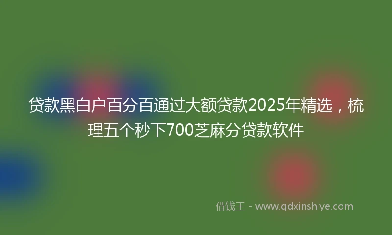 贷款黑白户百分百通过大额贷款2025年精选,梳理五个秒下700芝麻分贷款软件