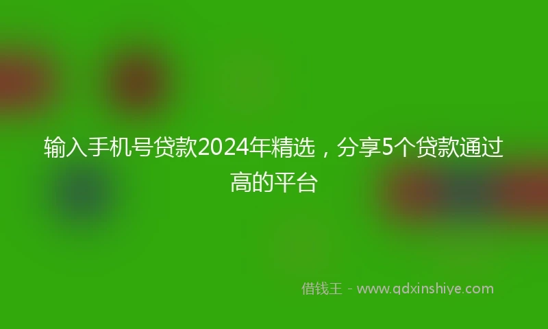 输入手机号贷款2024年精选，分享5个贷款通过高的平台