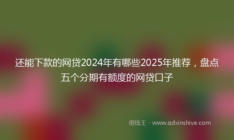 还能下款的网贷2024年有哪些2025年推荐，盘点五个分期有额度的网贷口子